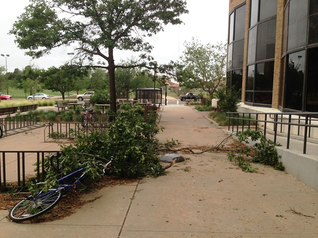 Storm debris near CoMC Building.